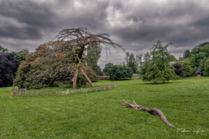 Parc de Mariemont