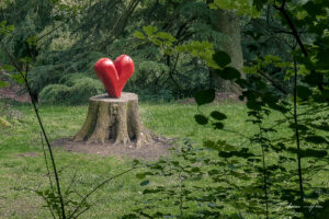 Au coeur du parc de Mariemont