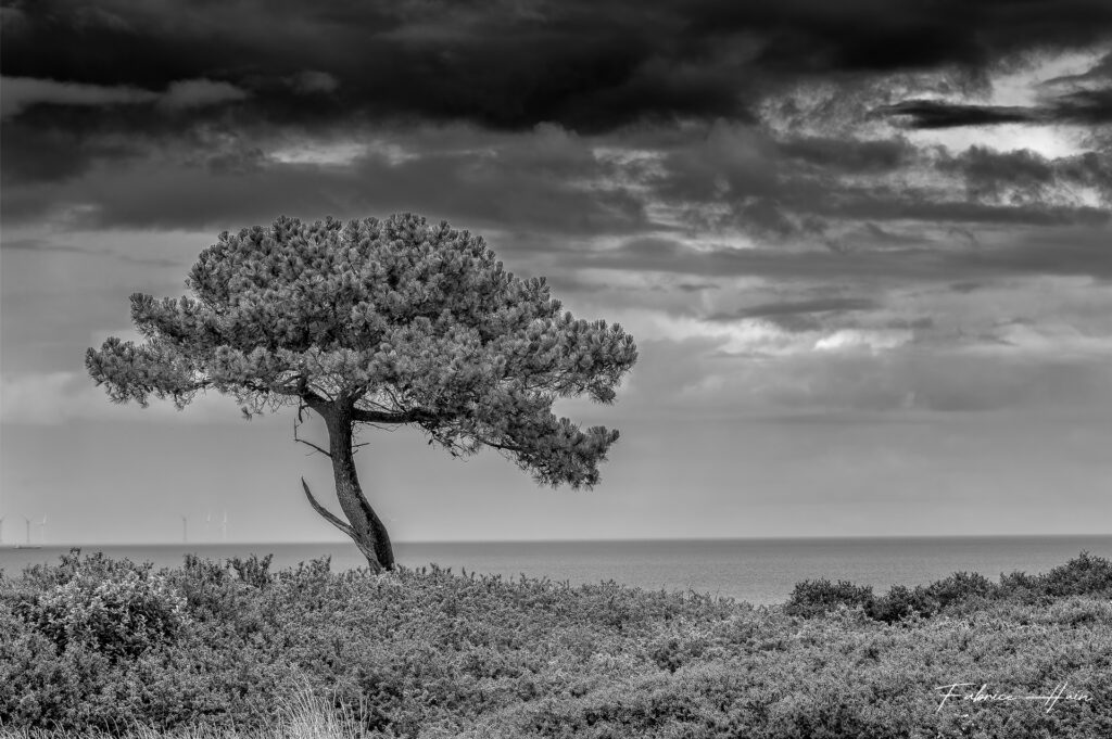 Falaises Plouha (2)