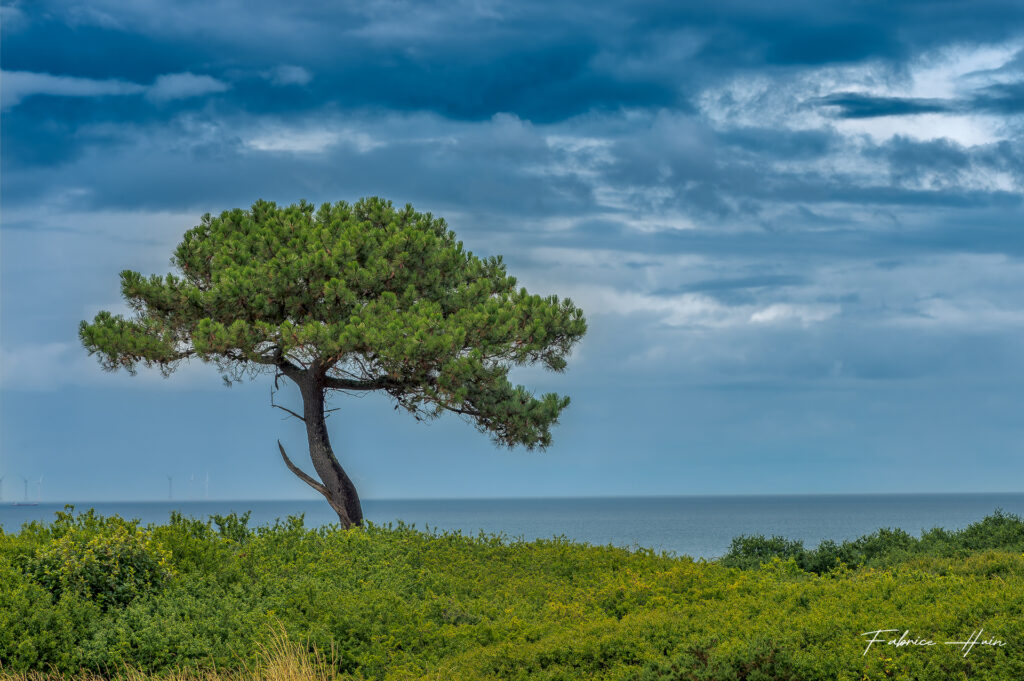 Falaises Plouha (1)